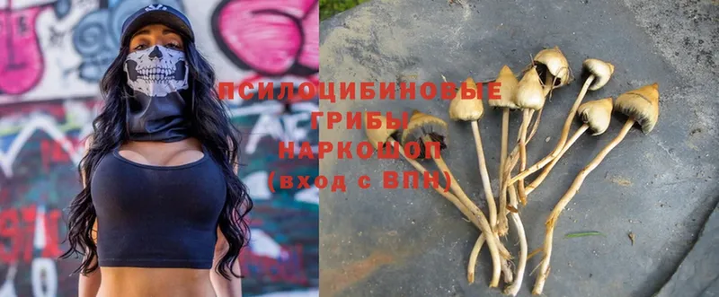 Галлюциногенные грибы MAGIC MUSHROOMS  Вичуга 